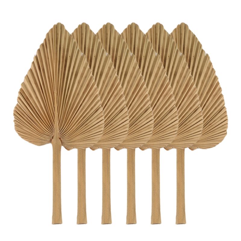 Palm Leaf Dried - AT84-6PCS ドライパームリーフ 天然乾燥パームファン、ボヘミアンウェディングデコレーション用大型パームスピア、トロピカルパームリーフデコレーション デュラ