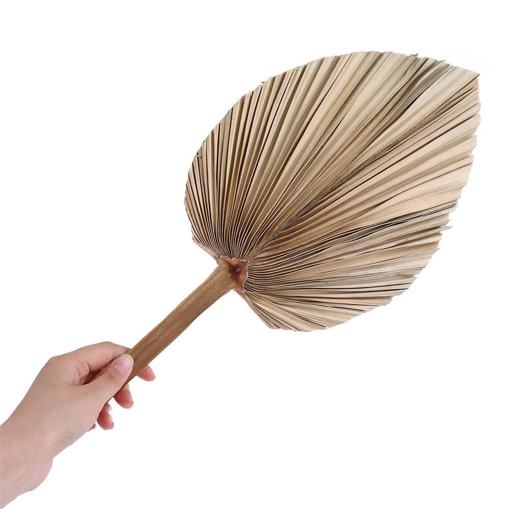 Palm Leaf Dried - パーティーオフィス ボヘミアン風 トリム加工 ボヘミアン ナチュラル パームスピア