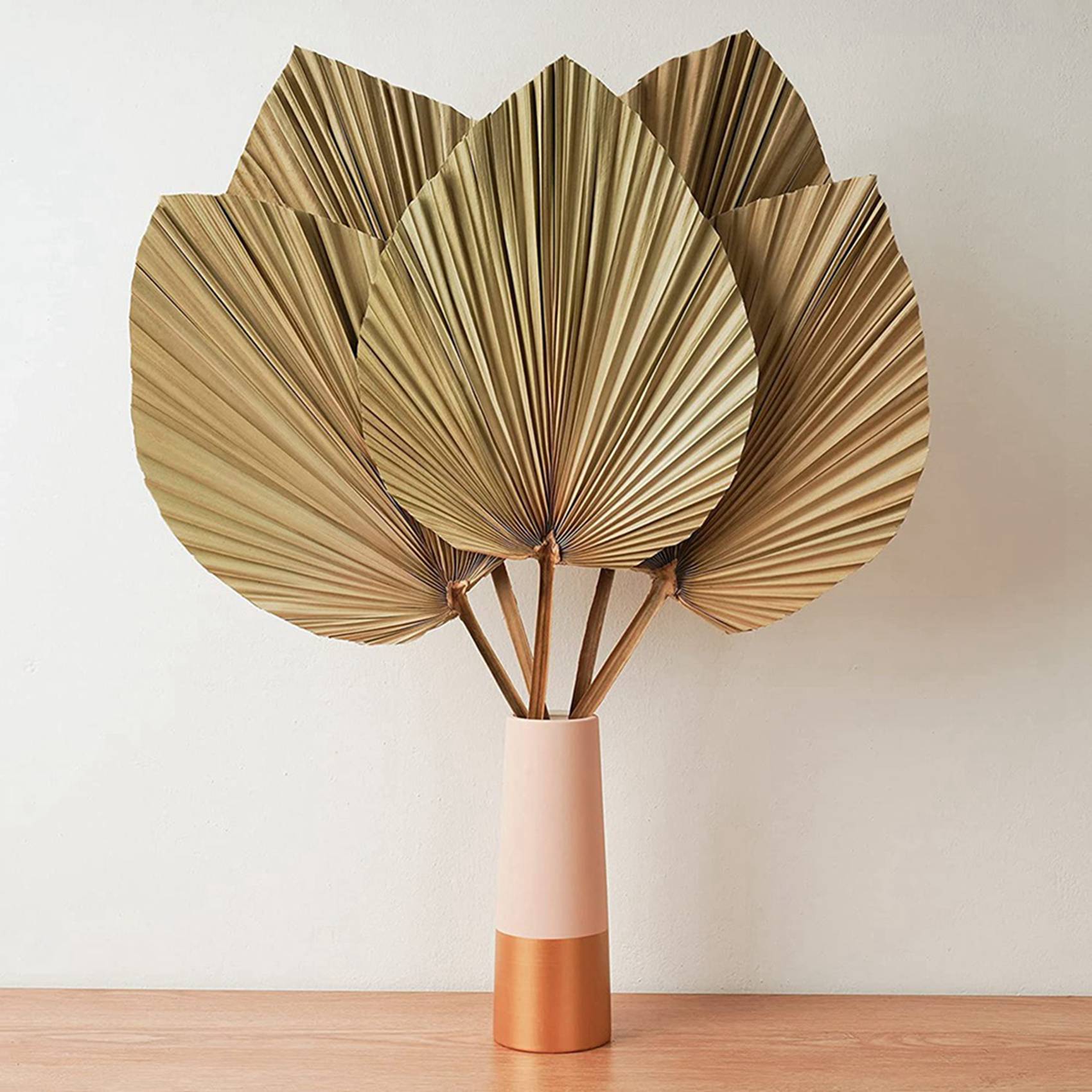 Palm Leaf Dried - 乾燥パームリーフのルームデコレーション 10枚セット - 高さ18インチ x 幅10インチ