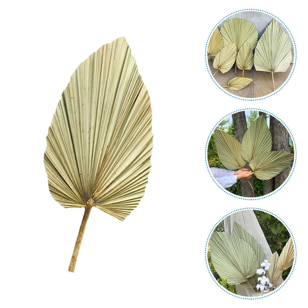 1個入り天然乾燥ヤシの葉装飾 オリーブ色 軽量 ウェディング - Palm Leaf Dried のレビューと価格