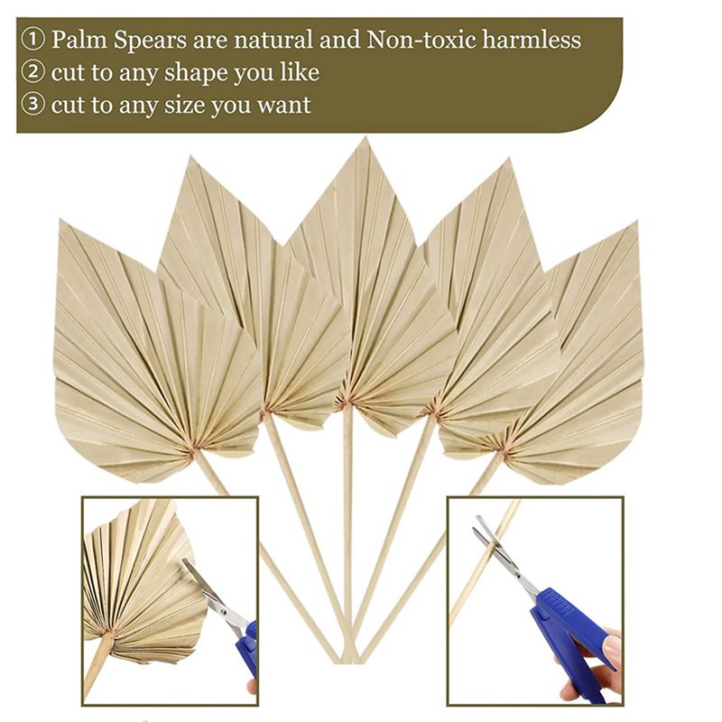 80枚のボホ風乾燥ヤシの葉、小さな乾燥天然ヤシの葉、茎付き乾 - Palm Leaf Dried のレビューと価格