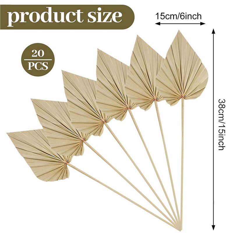 80枚のボホ風乾燥ヤシの葉、小さな乾燥天然ヤシの葉、茎付き乾 - Palm Leaf Dried のレビューと価格