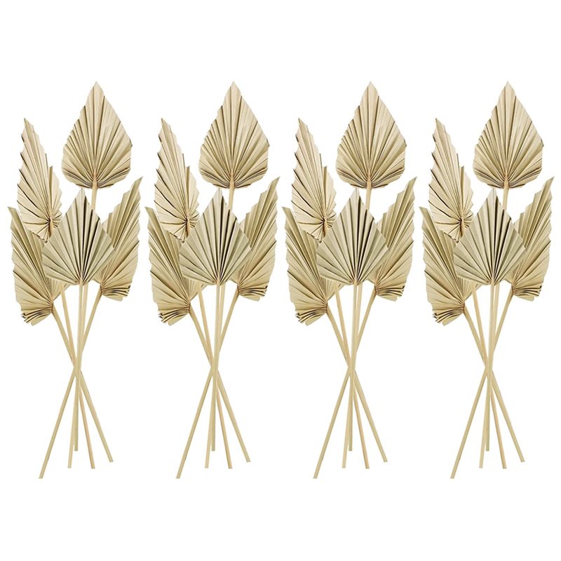 80枚のボホ風乾燥ヤシの葉、小さな乾燥天然ヤシの葉、茎付き乾 - Palm Leaf Dried のレビューと価格