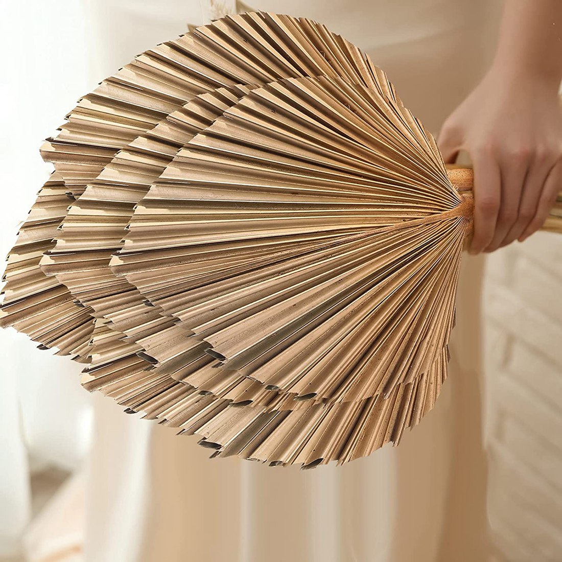 ファンのための自然乾燥ヤシの葉,自由奔放に生きる乾燥葉,家庭 - Palm Leaf Dried のレビューと価格