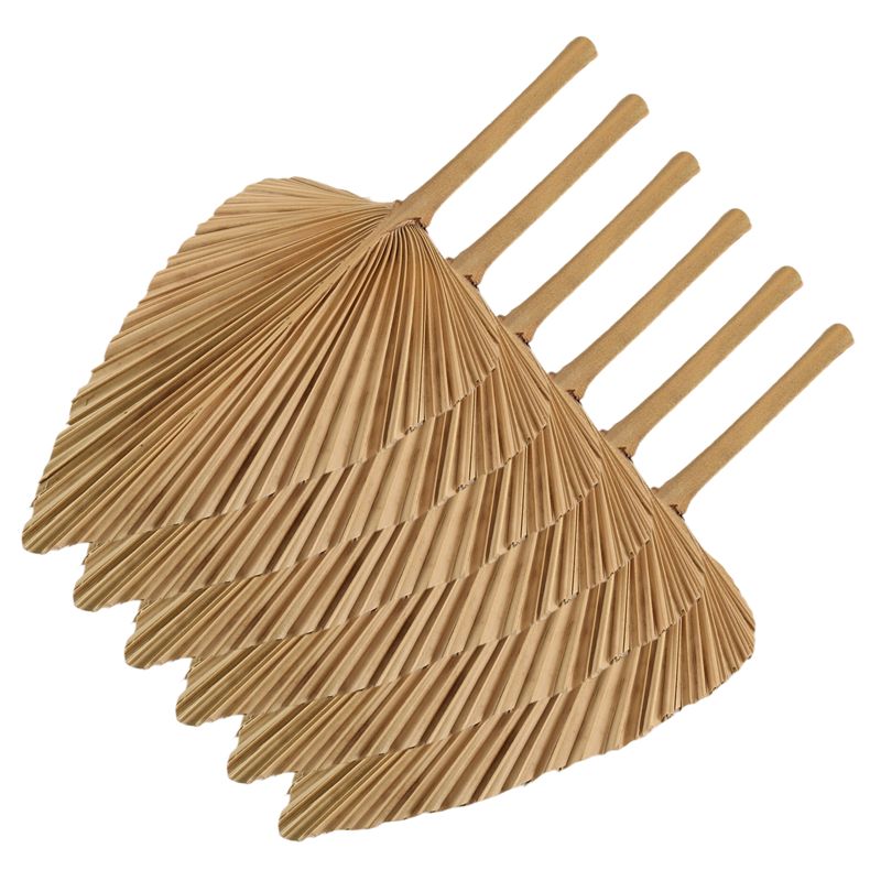AT84-6PCS ドライパームリーフ 天然乾燥パームファン - Palm Leaf Dried のレビューと価格
