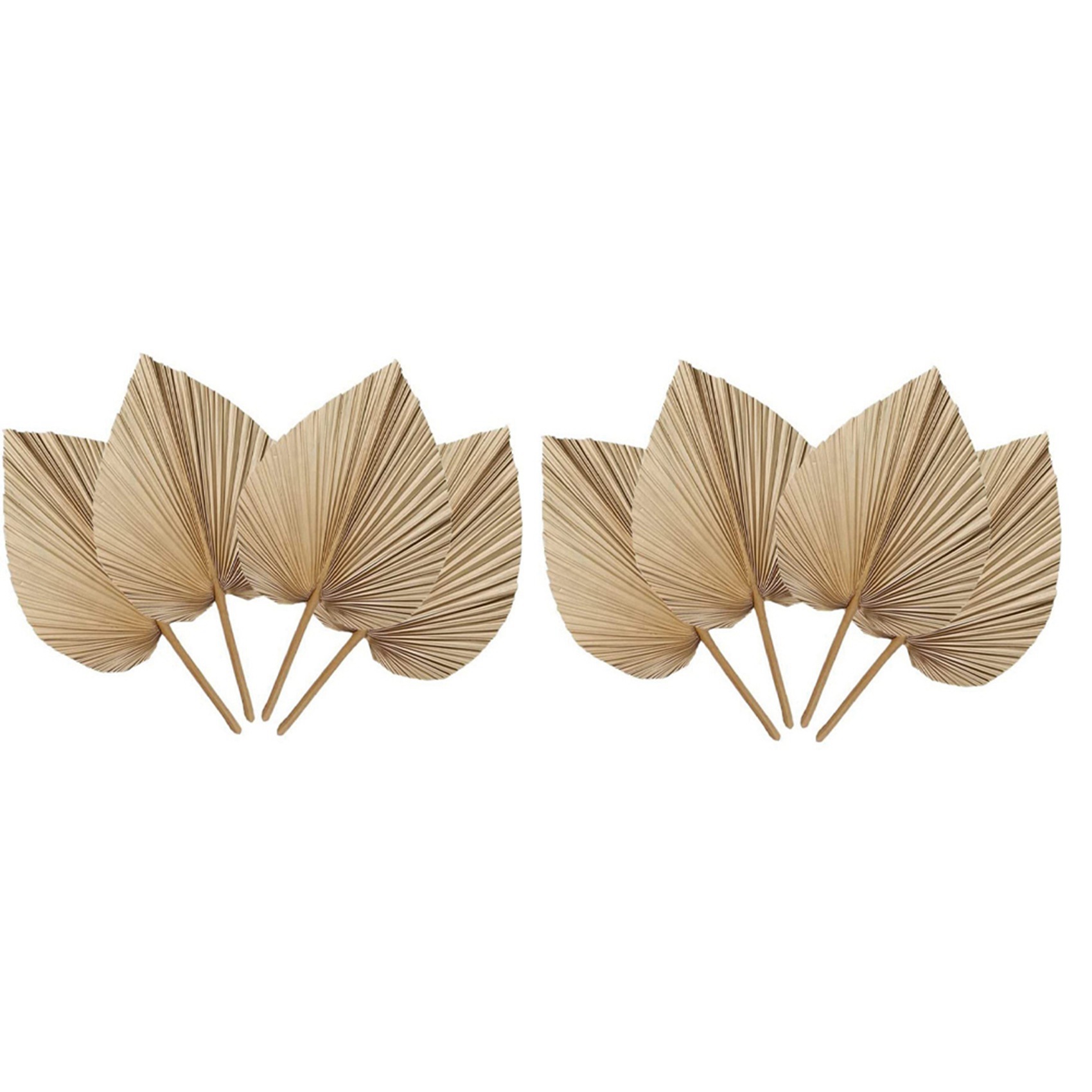 AT02-8 ナチュラルな乾燥ヤシの葉は、ヤシの葉の装飾、ボ - Palm Leaf Dried のレビューと価格