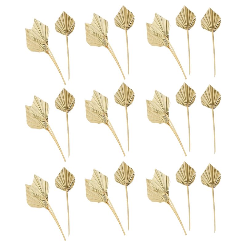 AS60-30個入り ボヘミアンスタイル ドライパームスピア - Palm Leaf Dried のレビューと価格