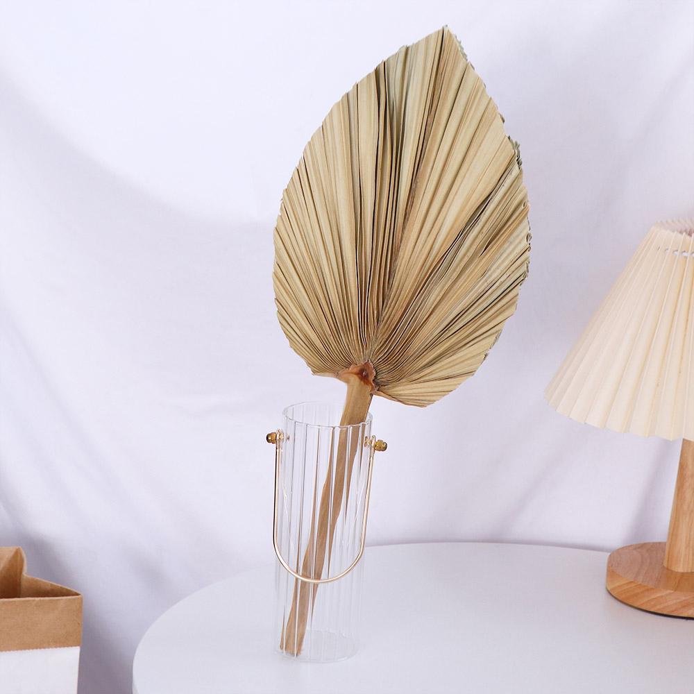 パーティーオフィス ボヘミアン風 トリム加工 ボヘミアン ナ - Palm Leaf Dried のレビューと価格