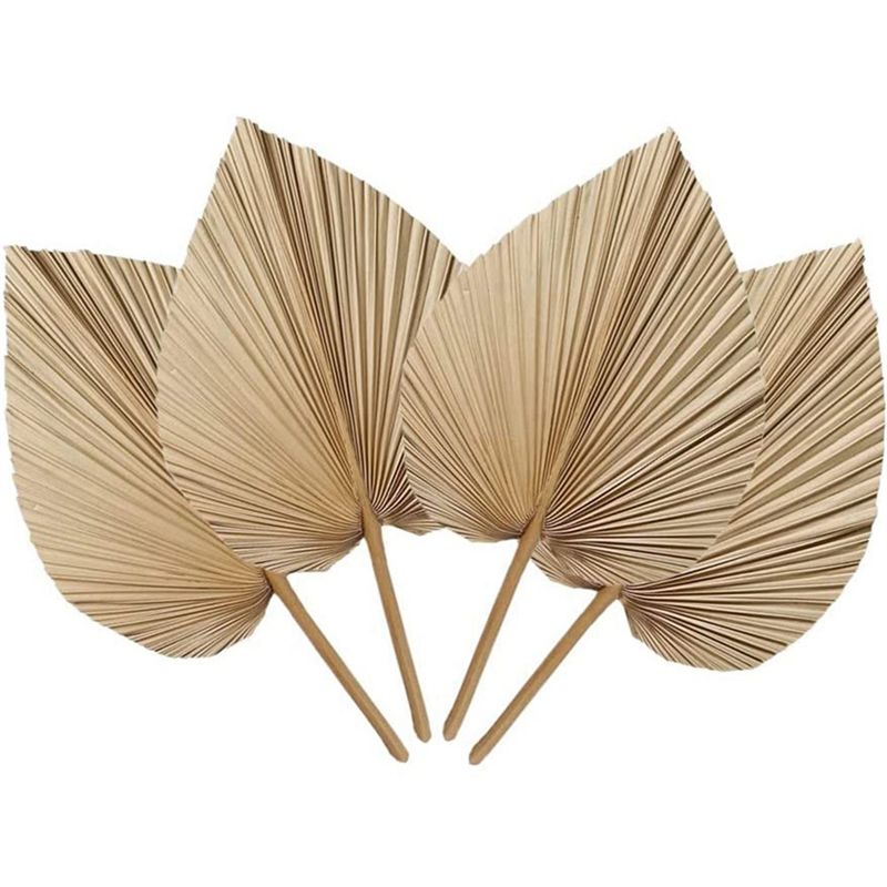 新鮮な天然乾燥ヤシの葉4枚セット、家の装飾用、ヤシの葉の装飾 - Palm Leaf Dried のレビューと価格